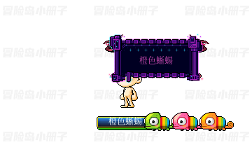 蜥蜴宠物套装