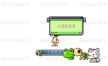 侦探团宠物套装