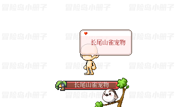 长尾山雀宠物