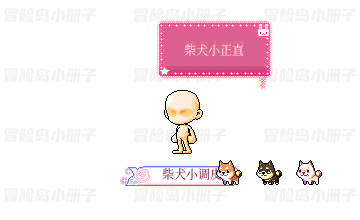 夏日小柴