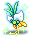 星空兰花