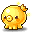 黄金章鱼帽
