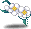 银河梅花