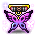 蝶梦