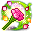 玫瑰花舞