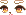 二哈脸型