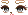 二哈脸型