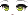 豹弩游侠脸型