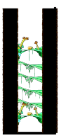树枝巢穴2