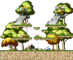 Tiguru's Forest