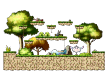 Forest of Beginning 4