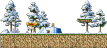 Cold Forest 4
