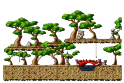 Entrance to Sky Forest