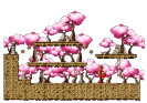 熊之领域<5>