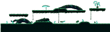 The Volatile Forest