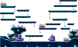 Path to the Coral Forest 3