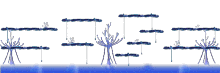 Living Spring 3