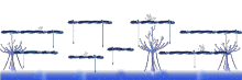 Living Spring 4