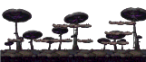 Fungos Forest 1