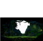 Jungle Clearing