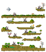 克兰卡丛林盆地