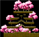 狐狸峡谷