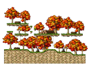 Maple Hill Road 2