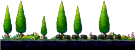 艾芙特領域