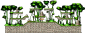 Final Stage