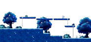 Star Forest Entrance