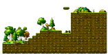 Lush Forest