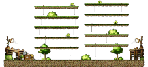 Novice Harvesting Farm