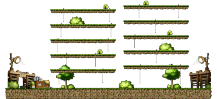 Intermediate Harvesting Farm