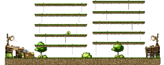 Advanced Harvesting Farm