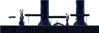 森林初入