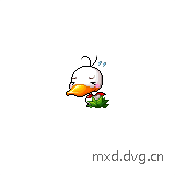poop