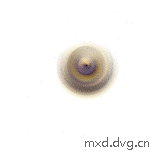 warp