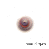warp