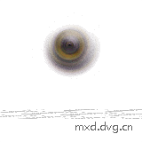 warp