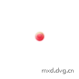 warp