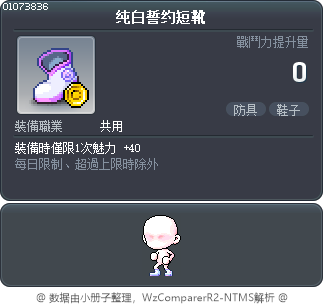 纯白誓约短靴 Tooltip