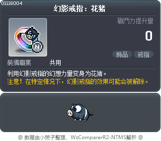 幻影戒指：花猪 Tooltip