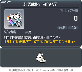 幻影戒指：白色兔子 Tooltip