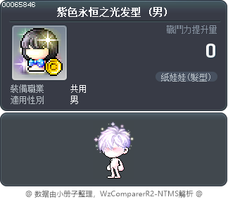 紫色永恒之光发型 Tooltip