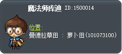 魔法师库迪 Tooltip
