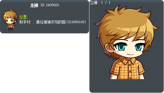 龙神 Tooltip