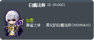 白魔法师 Tooltip