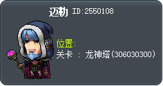 迈勒 Tooltip