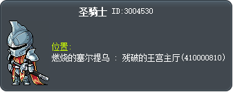 圣骑士 Tooltip