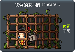 哭泣的宋小姐 Tooltip